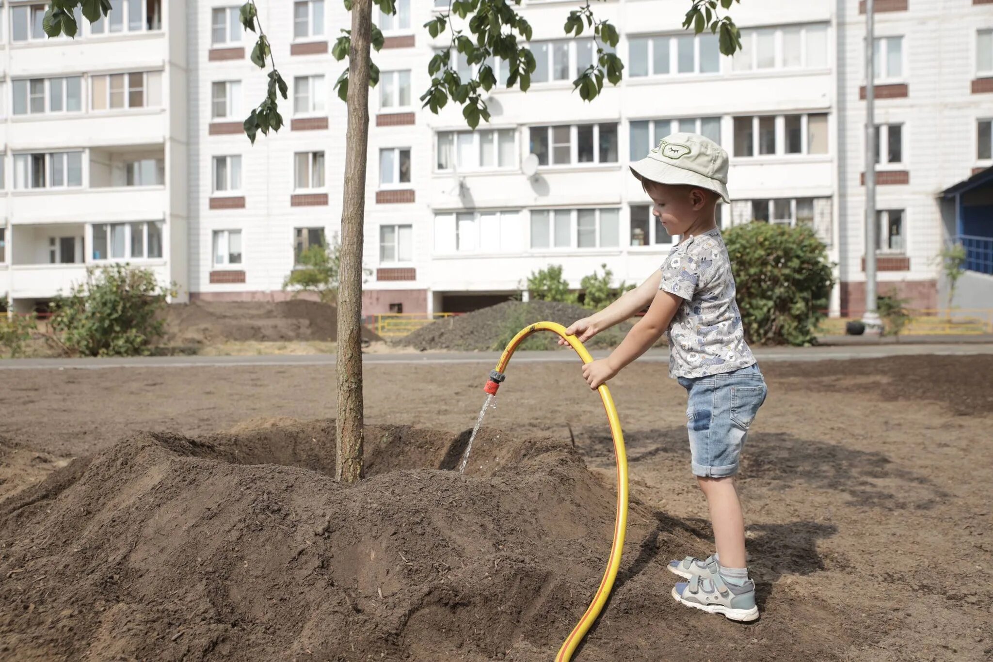 Люди из колледжа которые сажают деревья. ГАЗ В доме. Белозерцев сажает дерево. Обстрел Градами посадки деревьев. Посадили 56 деревьев 7 8