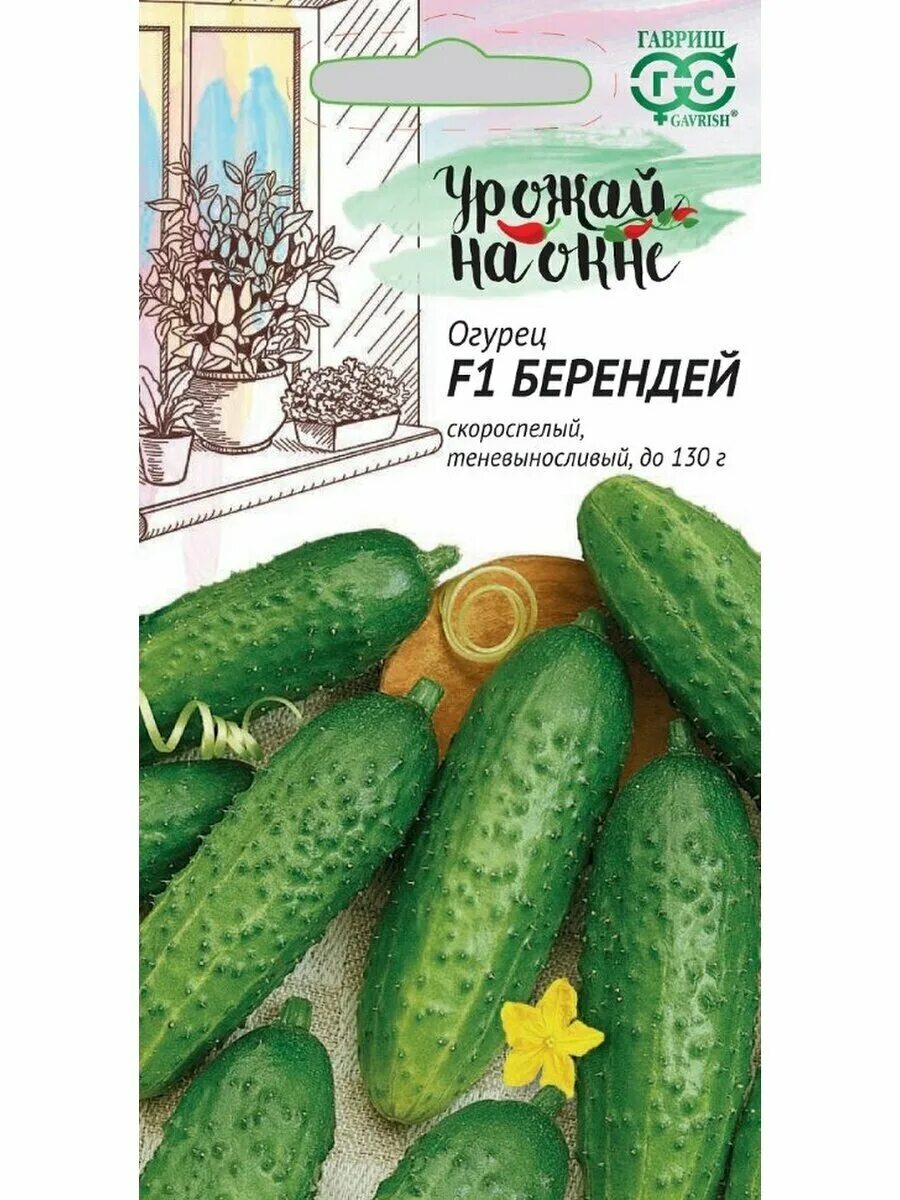 Огурец берендей описание. Огурец берендей описание. Сорт огурцов берендей. Семена берендей гавриш. Сорт огурцов берендей.