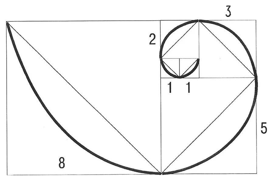 Циркуль фибоначчи. Золотое сечение Фибоначчи. Золотая спираль Фибоначчи. Спираль Фибоначчи золотое сечение построение. Спираль золотого сечения и спираль Фибоначчи.