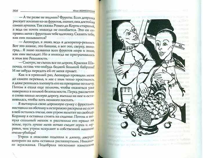 Книги ю Вознесенской путь Кассандры. Путешествие Кассандры приключения с макаронами. Слушать путь кассандры или приключения с макаронами