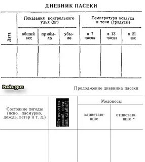 Учет пчел