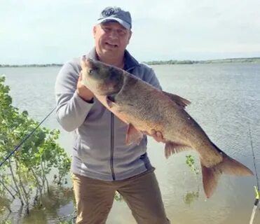 Погода пекилянка