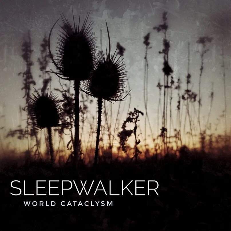Sleepwalker x death. Слипволкер. dead swans – sleepwalkers. sleepwalker slowed. sleepwalker androp.