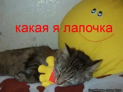 Лампочки лапочка песня