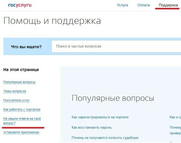Госуслуги портал ошибка. Ошибки на портале госуслуг. Ошибка сайта госуслуги. Госуслуги поддержка.
