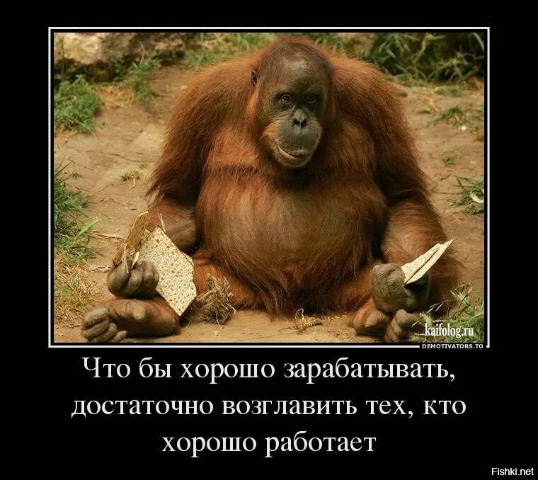 Он должен быть чуть красивее обезьяны