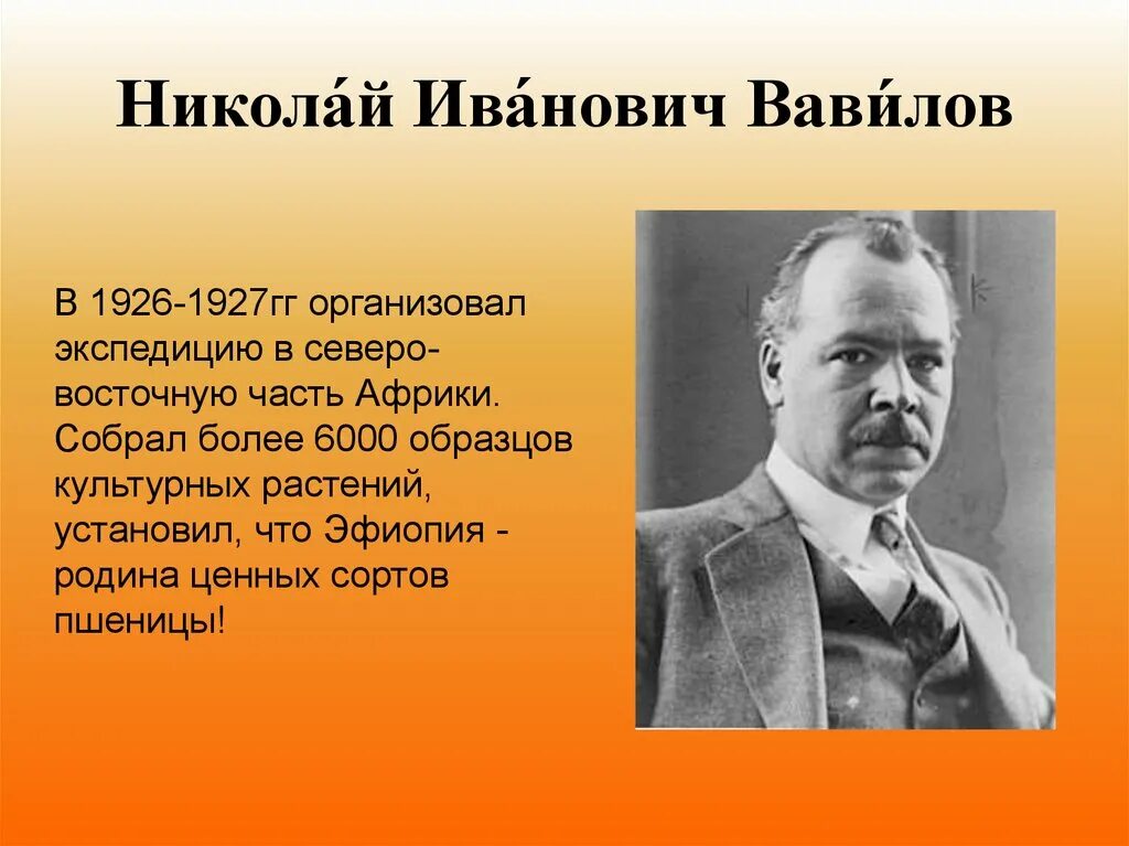 Исследователи Африки ybrjkfq ,f,bkjd. Вавилов что открыл. Экспедиция в африку 1926 1927