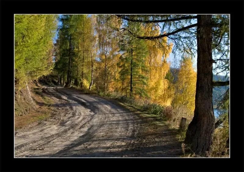 Помогите на дорогу домой