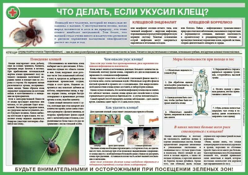 Нужна ли прививка от энцефалита ребенку. Санбюллетень клещевой энцефалит санбюллетень. Что нужно сделать если укусил клещ. Рекомендации если укусил клещ.