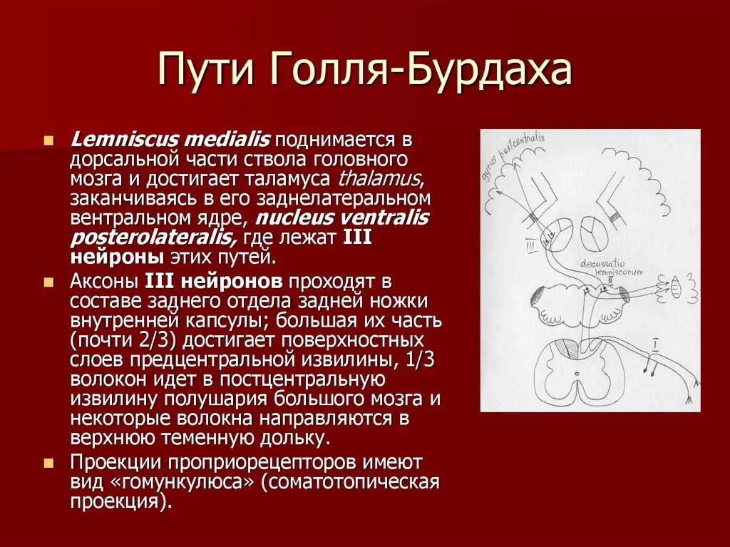 Заканчиваться путем
