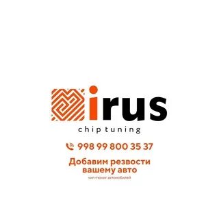 Irus