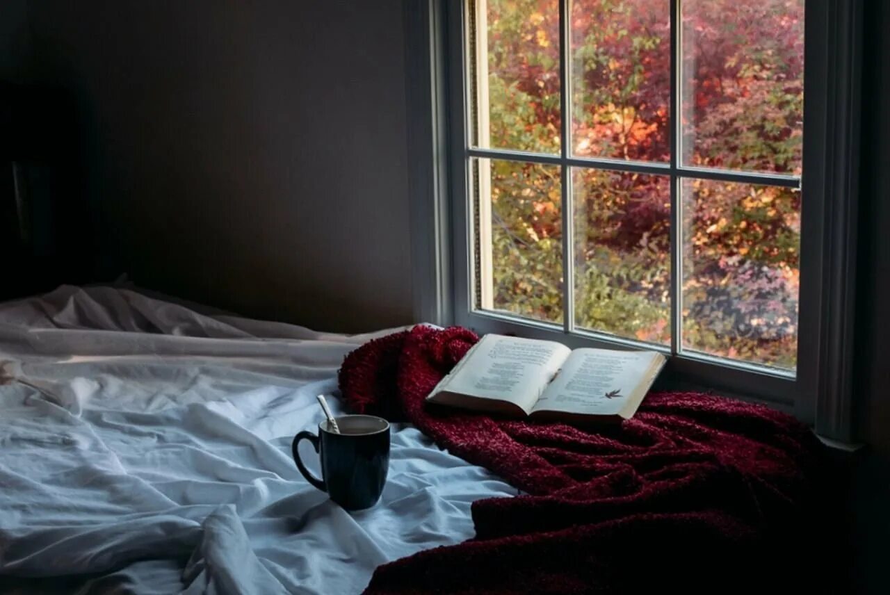 Вечер дом осень. Плед на подоконнике. Осень за окном. Уютный вид из окна. Осень на подоконнике.