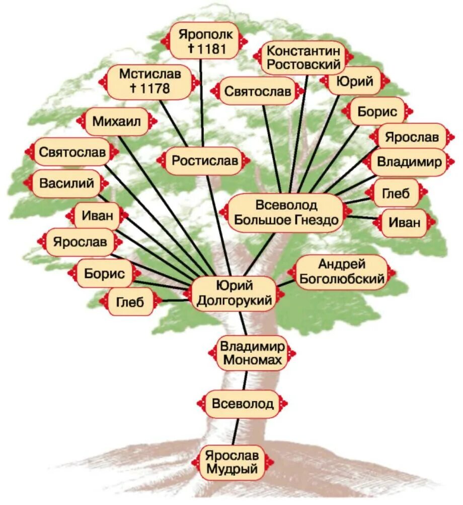 Генеалогическое древо история 6 класс. Родословная Юрия Долгорукового. Древо князей Владимиро Суздальского княжества. Генеалогическое лереао Юрия Долгорукого.