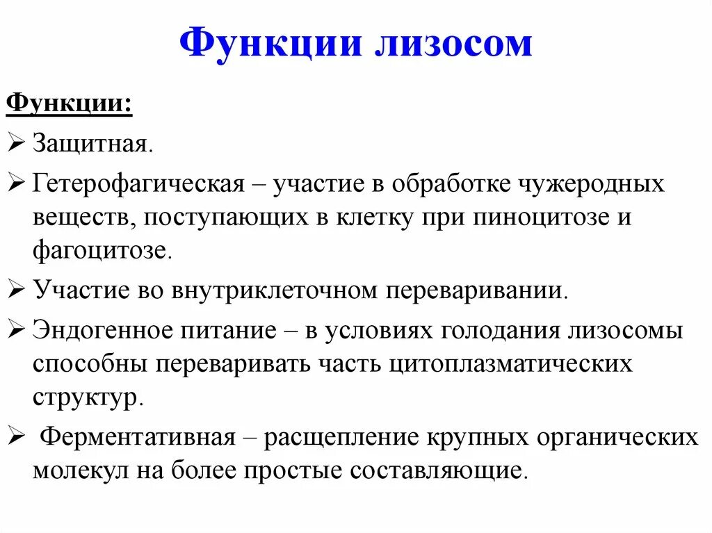 Функции выполнения клетки. Лизосомы выполняют функции. функции лизосом в клетке кратко. основная функция лизосом. лизосомы строение и функции кратко.