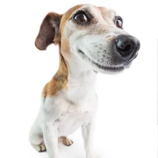 i?id=345ad8546110318055e5707e1efe87f64d9321d3-5223485-images-thumbs&n=13