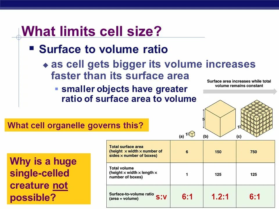 Ratio js. Surface area to volume ratio. what is cell. cell size to surface area and volume. what the cell.