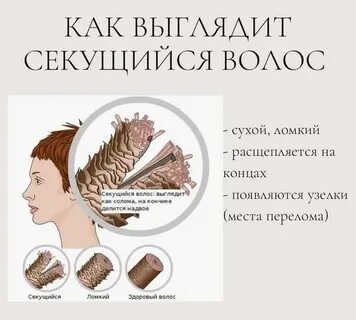 Каких не хватает секущимся волосам