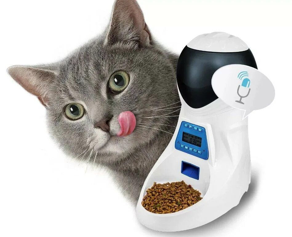 Pet Feeder кормушка. Кормилка для кошек автоматическая с таймером. Automatic Pet Feeder. Автомат для корма животных Pet Feeder. Дозатор для кошек с таймером