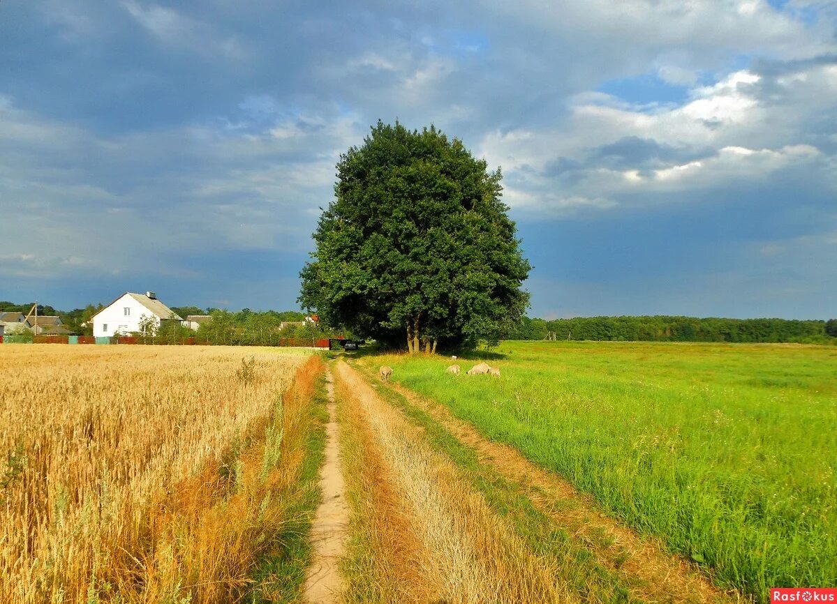 Село просторе