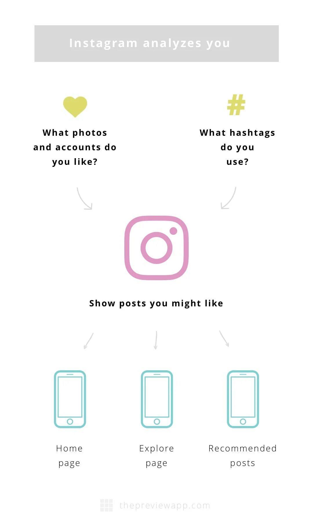 Алгоритм инстаграма. Instagram algorithm. Алгоритмы в инстаграме где. Алгоритмы инстаграмм