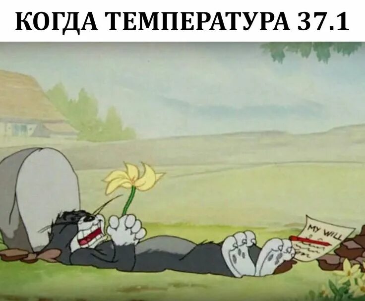 А может быть хоть что то