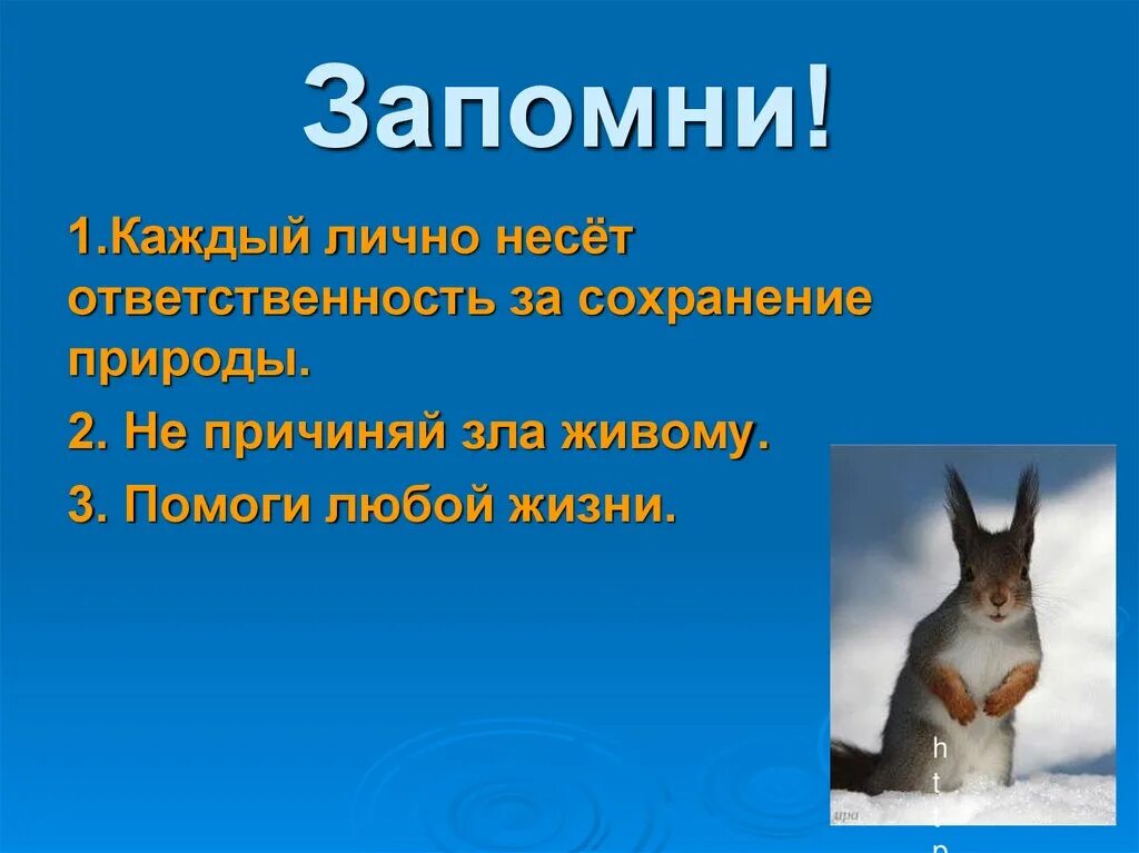 Охрана природы в нашем крае 4 класс. Охрана природы презентация. Презентация на тему защита природы. Охрана живой природы доклад. Защита природы презентация 5 класс.