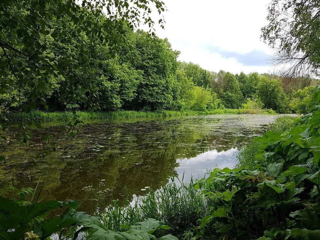 озеро находно валдай. завидово парк. заповедник завидово. завидово парк. заповедник завидово.