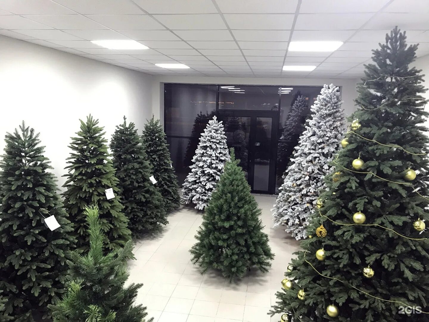 елки новогодние искусственные магазин. елки новогодние искусственные магазин. большая искусственная елка. магазин елок. выставка искусственных елок.