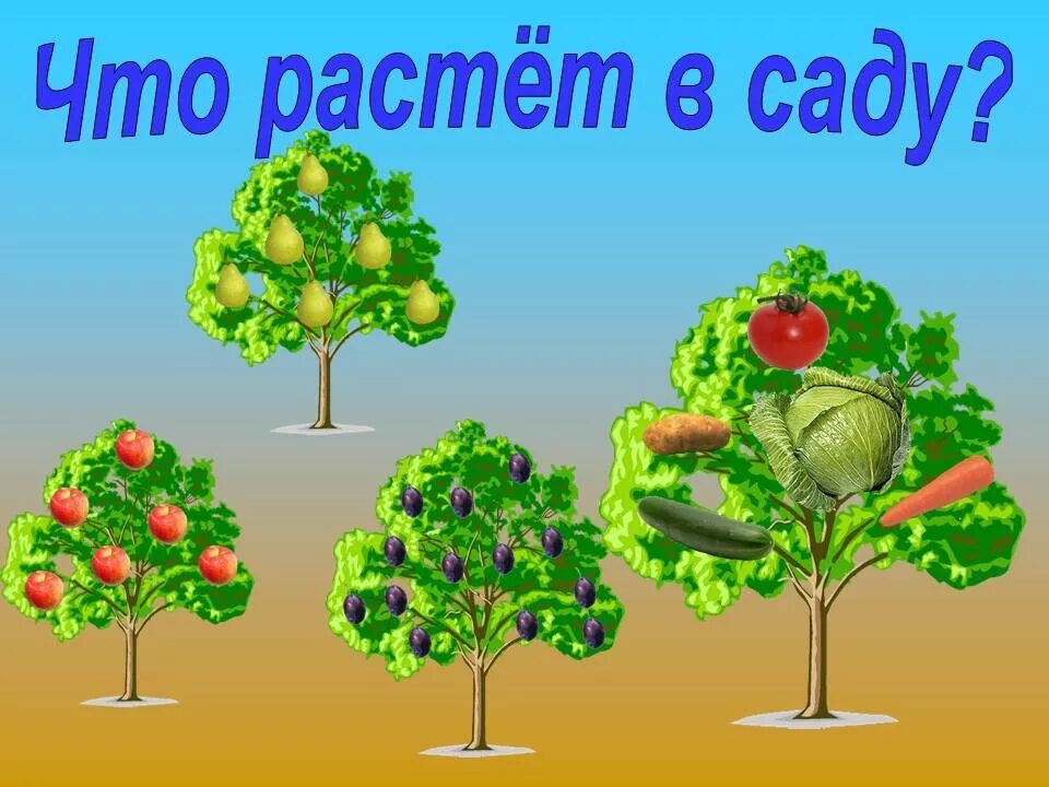 В саду 1 класс. Плодовые деревья для дошкольников. фруктовые деревья для дошкольников. что растет в саду. дерево для детского сада.