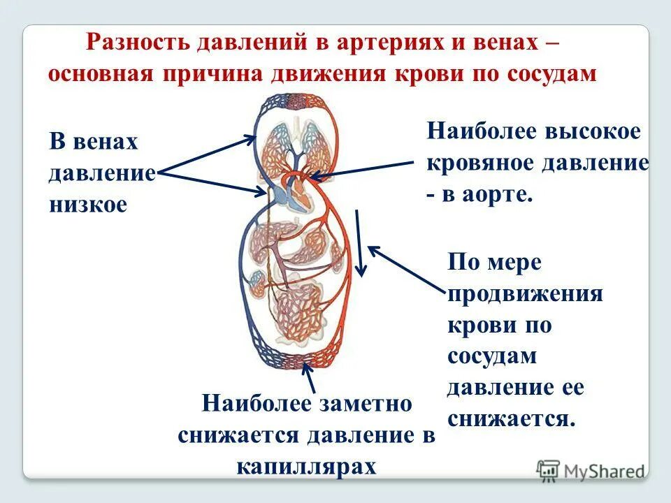 Сужение сосудов повышение давления