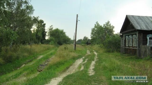 До 31 августа продлится голосование в конкурсе "Самая красивая деревня Владимирс