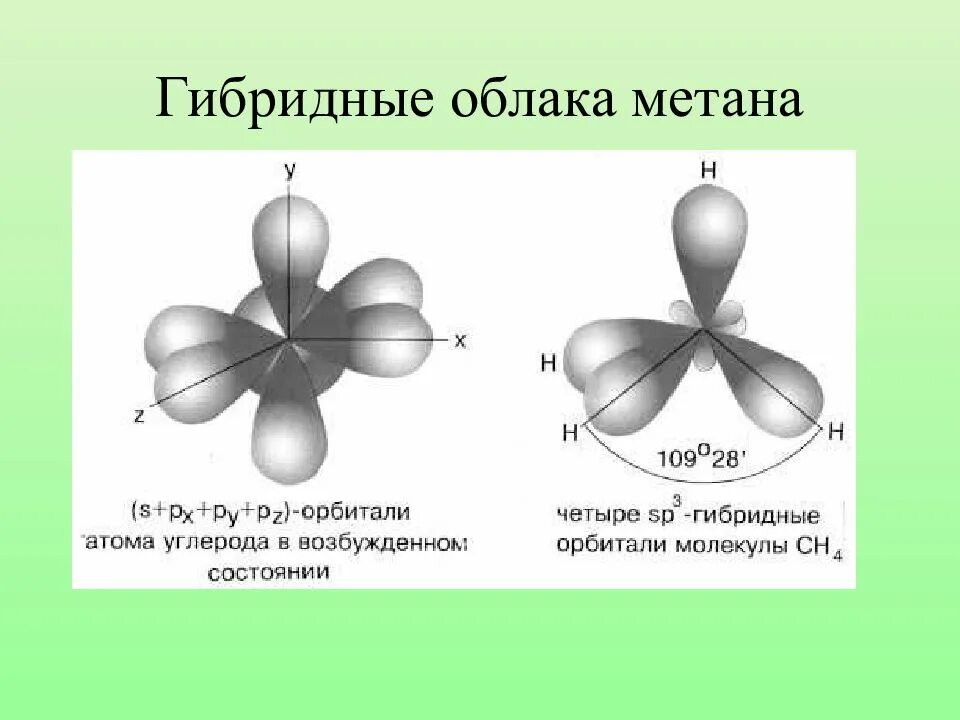 Электронные облака атомов. Гибридное состояние атомов углерода. Гибридизация электронных облаков. Электронное облако углерода. Метан электронные облака.