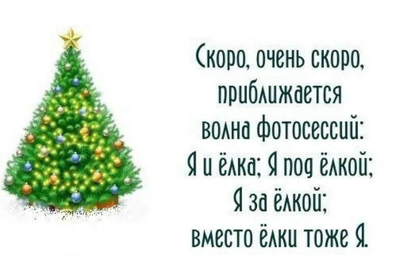 Елка фразы. Скоро елка. Статусы про елку. Цитаты про елку. Скоро приближается новый год.