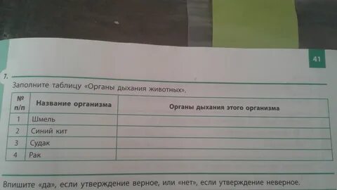 Дыхание животных таблица