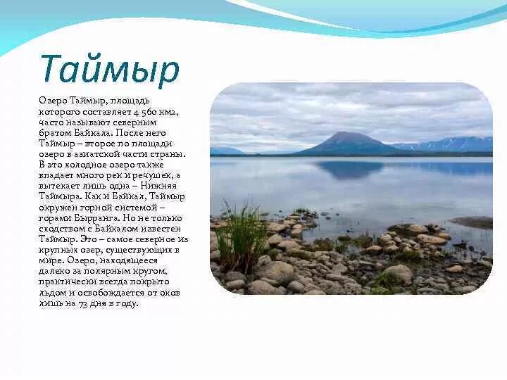 Полуостров Таймыр озёра. Озеро Таймыр презентация. Площадь озера Таймыр. Краткий доклад озера Таймыр. На берегах таймырского озера мы часто видели