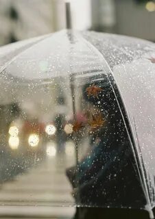 Фото доброе утро дождь
