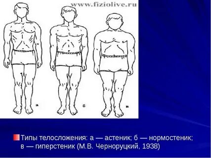 Нормостеник мужчина что это