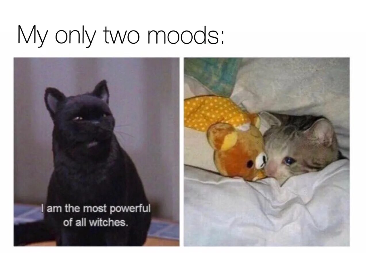 Фф there are only two in hell. Two mood. мем два настроения. my two moods. i have only 2 moods.