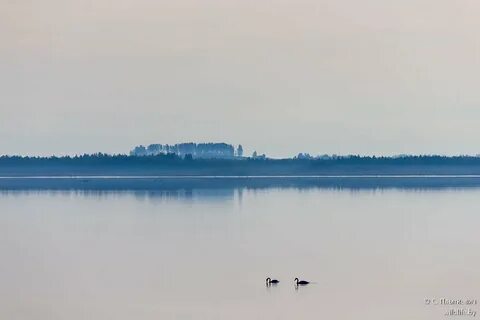 Остров ду