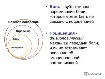 Субъективные эмоции яны павловой