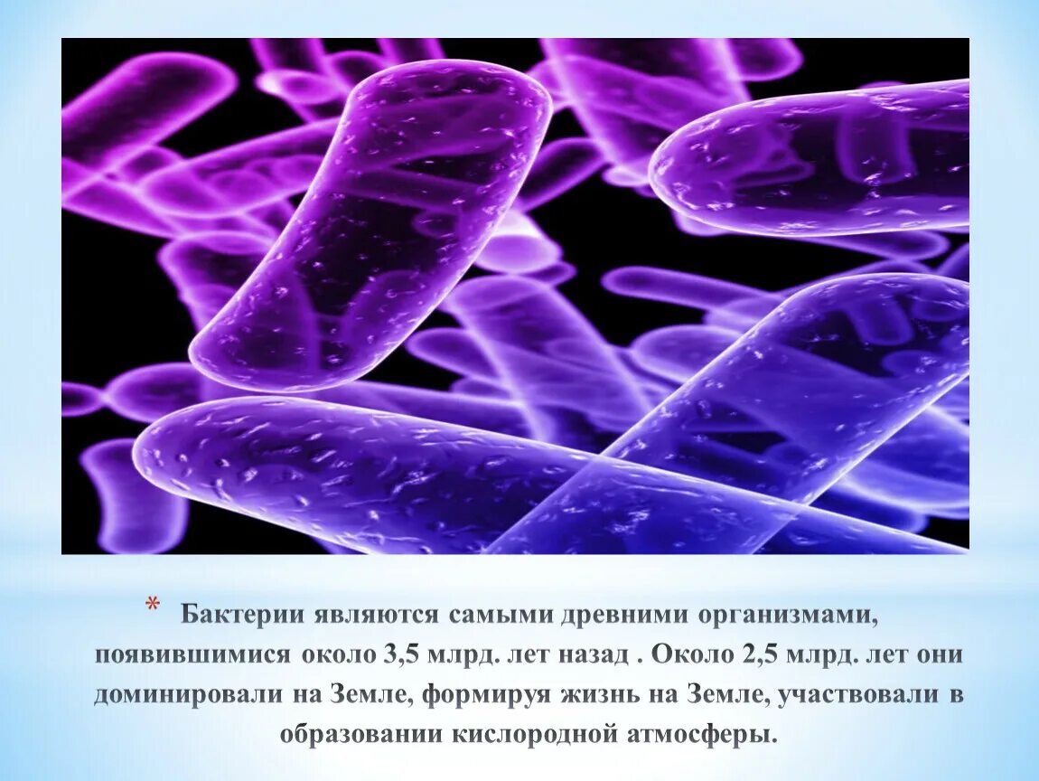 Бактерии презентация. Бактерии по биологии. Бактерии 5 класс. Бактерии 5 класс биология. Бактерии урок 7 класс