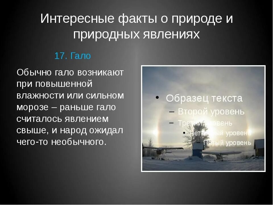 Какое событие природный. Интересные факты о природе. Необычные факты о природе. Интересные факты о явлениях природы. Интересные факты о необычных явлениях.