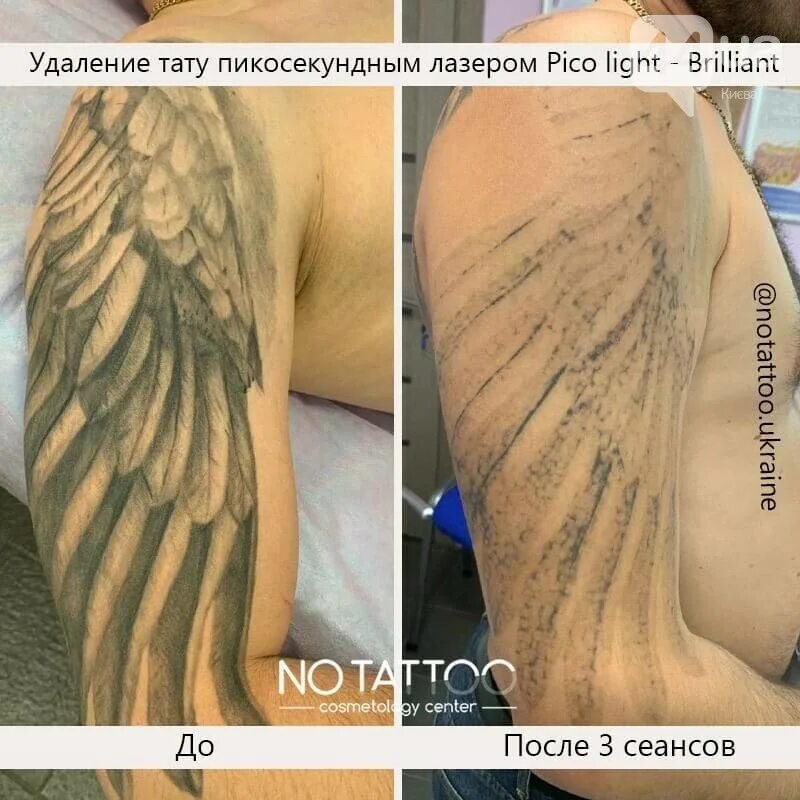 Отзыв тата