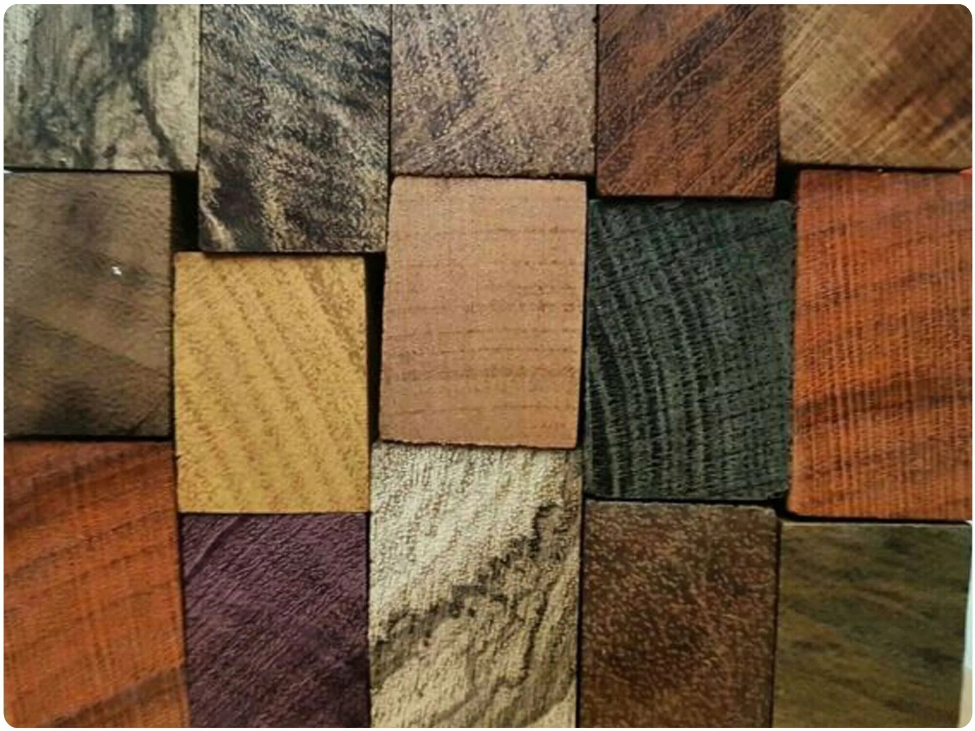 экзотические сорта древесины. бубинго снейквуд. экзотические породы древесины. ценные породы дерева. ценные породы дерева.