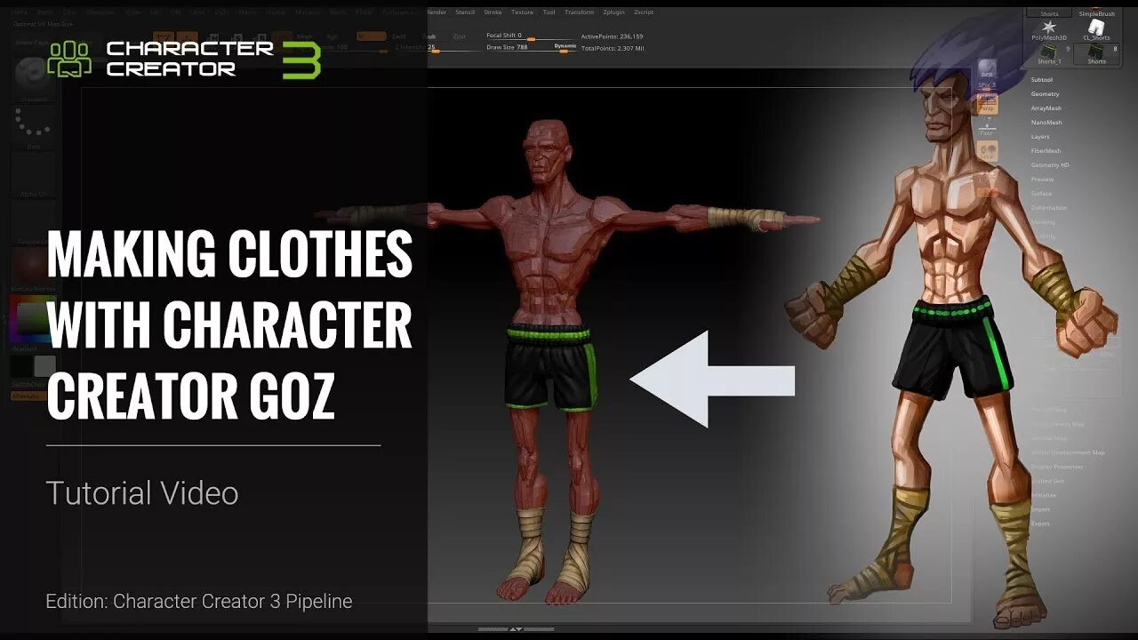 Character creator. Character creator 3. Reallusion character creator. Character creator 3d model.