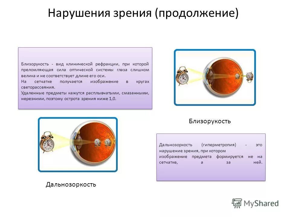 Анализатор состоит из рецепторов и проводящих