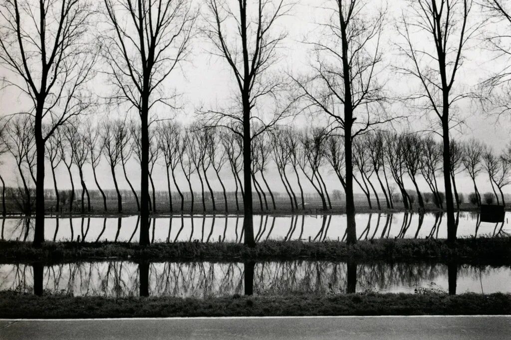 Ритм в искусстве. Marc Riboud. Марк Рибо фотограф. Марк рибу работы. Фотоработы фотограф Марк рибу.