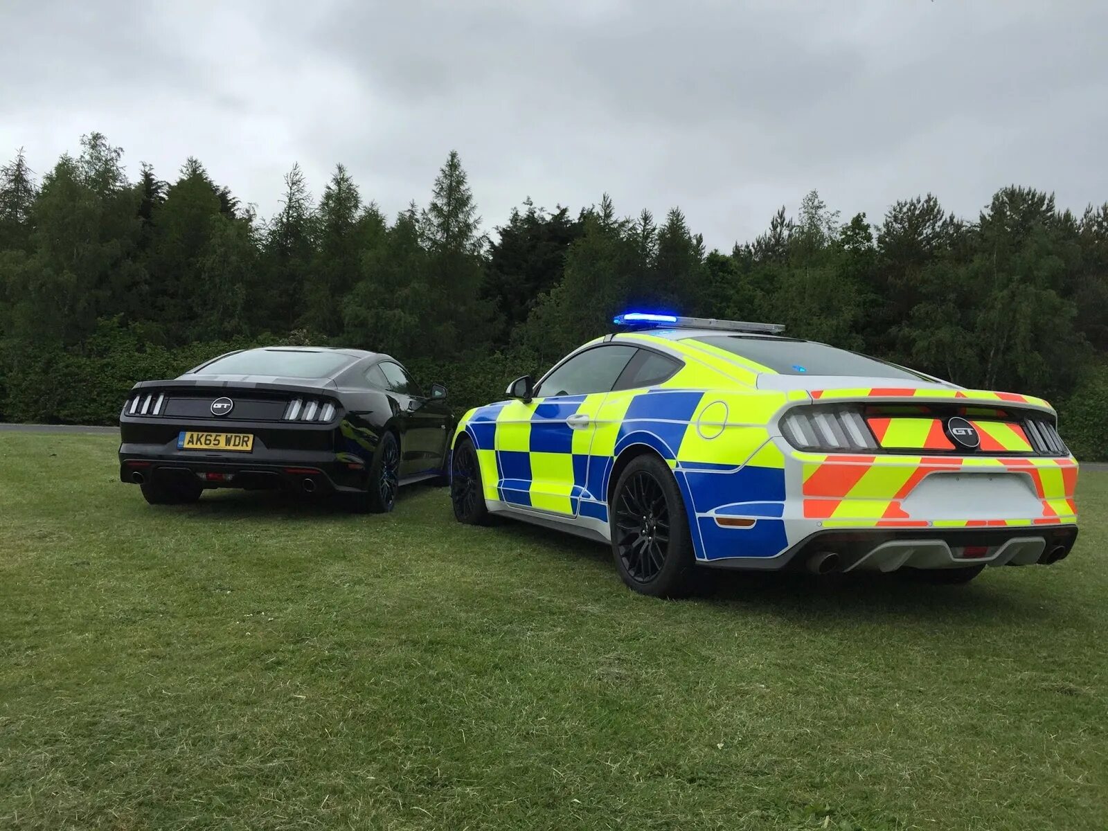 Полицейский мустанг. Ford Mustang 2015 Police. Ford Mustang Police. Ford Mustang gt Police. Ford Mustang gt полицейский.