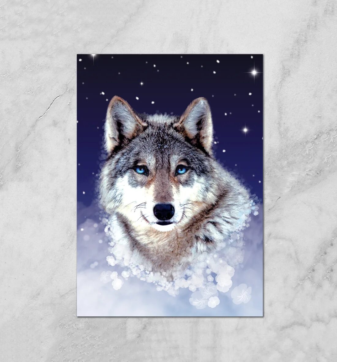 Постер с волком. Плакат с волком. Постер волки. Постеры Волков. Плак волк.