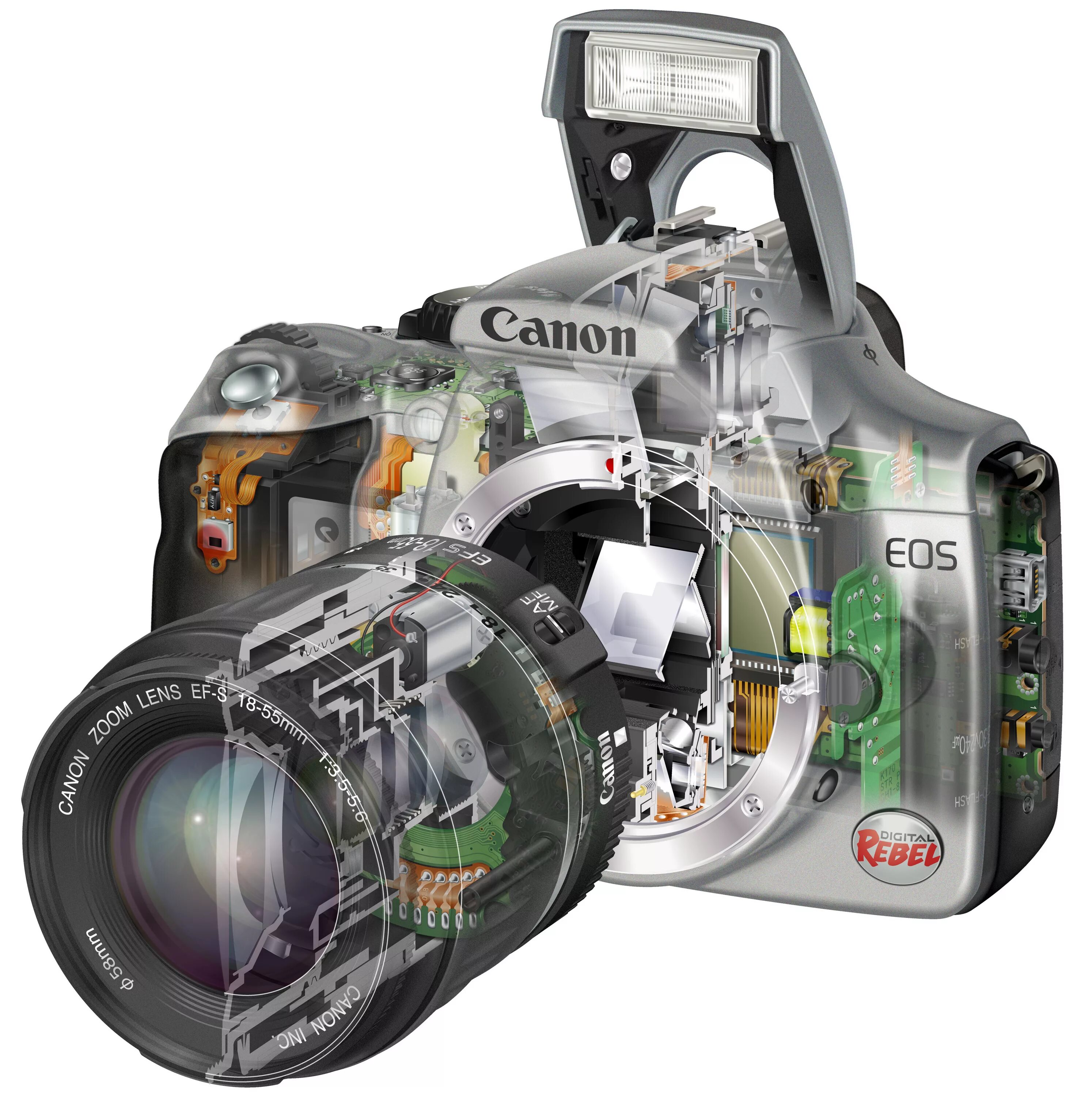 Canon EOS 300d body. Зеркальный фотоаппарат внутри. Фотоаппарат в разрезе. Детали фотоаппарата. Сервисный ремонт фотоаппарата canon